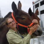 Amy Nagler Research Scientist at Casita Properties LLC/Krumholtzr